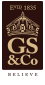 GS and Co. Logo